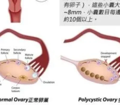 失能高龄失独老人有保障 北京公办养老机构实施兜底安置