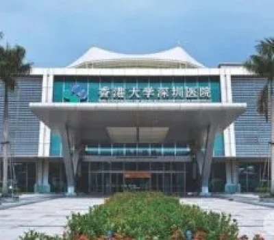 剖析失独群体心理疏导与应对现状