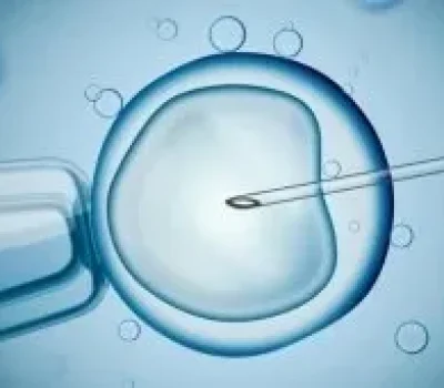 读懂失独家庭心底顾虑：多一份牵挂，只是多一份活下去的支撑