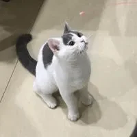 那个看似潇洒自由的姐姐，背后藏着无人知晓的抑郁症