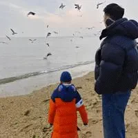 老人为何把饭打包带走，微光需要有人点燃