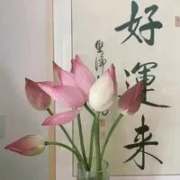 不能繁衍，反而能真正思考生命意义
