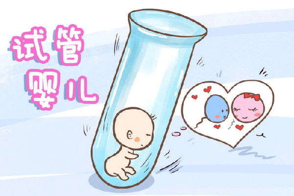 失独家庭再生育试管婴儿